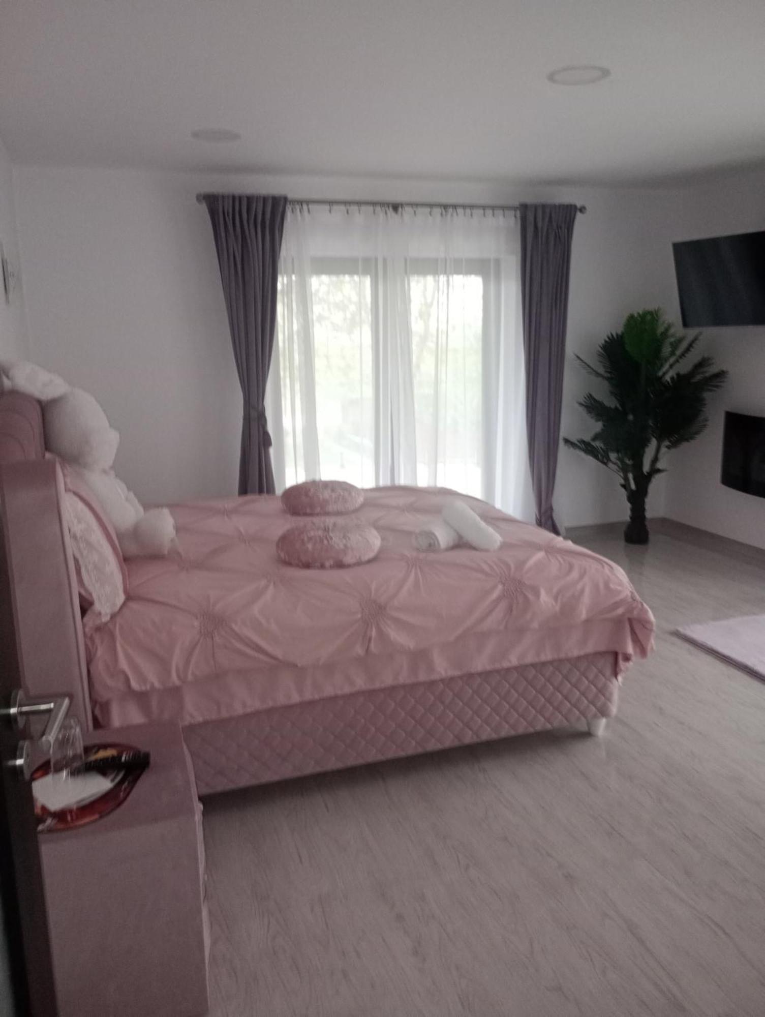Izabella Guest House Săcele Exteriér fotografie