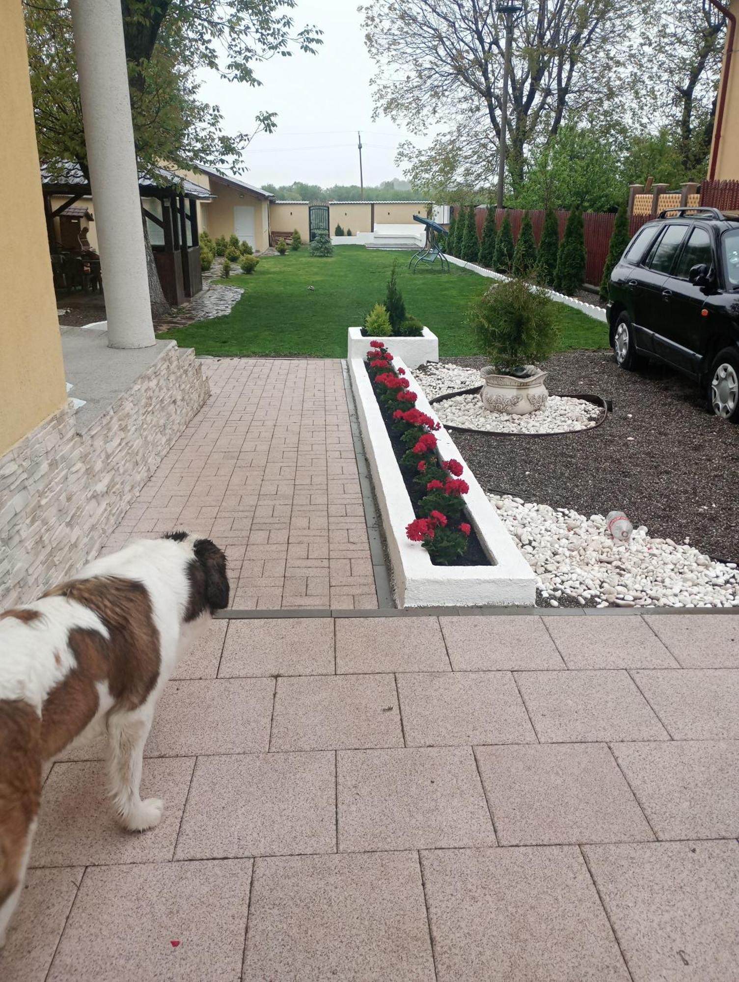 Izabella Guest House Săcele Exteriér fotografie